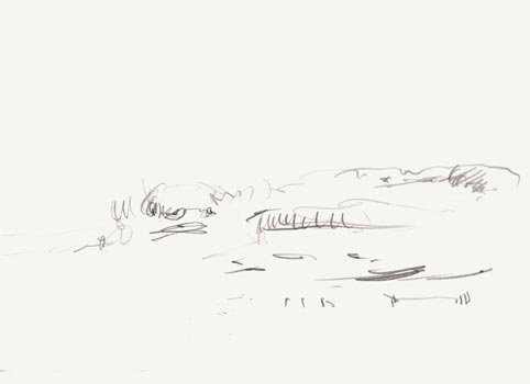 Landschaft 7