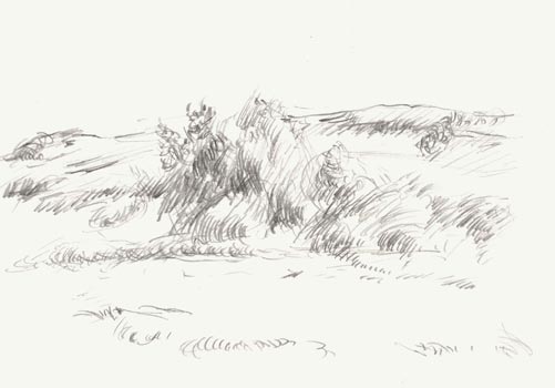 Landschaft 8